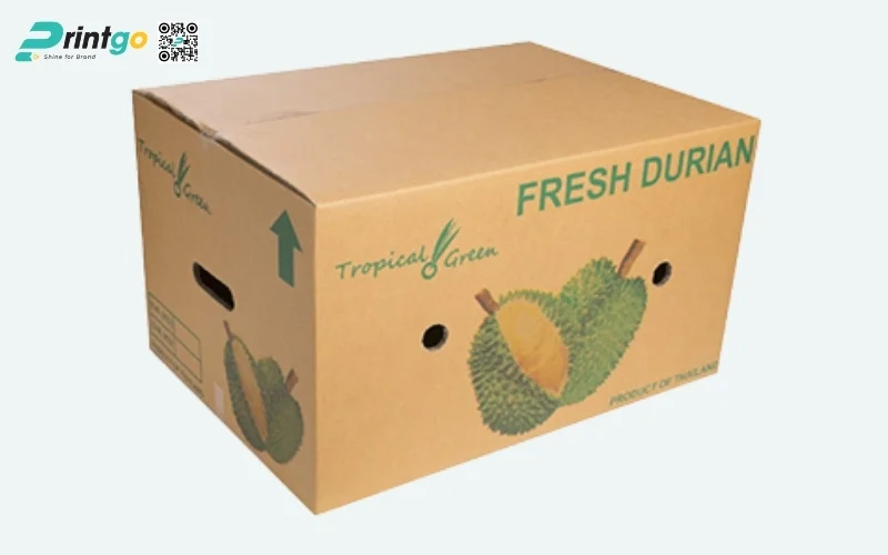 Mẫu thùng carton đóng hàng xuất khẩu hoa quả Mẫu thùng carton đóng hàng xuất khẩu hoa quả