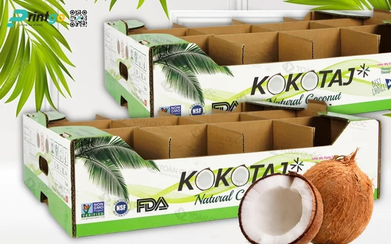 Mẫu thùng carton đựng dừa xiêm xuất khẩu đạt chuẩn 2026