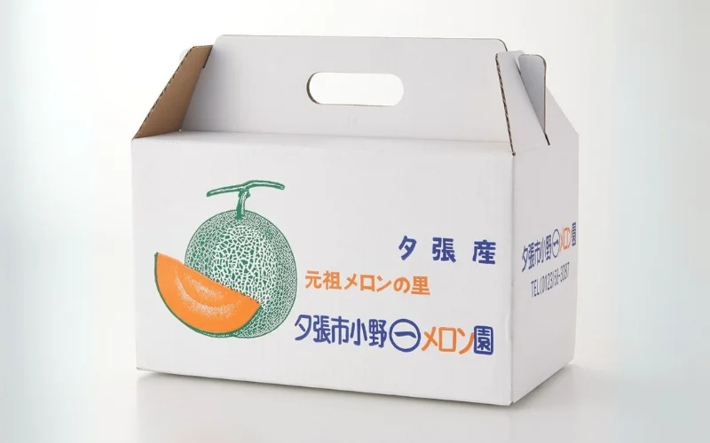 Bao bì đựng nông sản dạng hộp giấy carton sóng