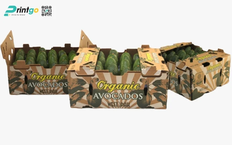 Mẫu thùng carton đóng hàng xuất khẩu rau củ Mẫu thùng carton đóng hàng xuất khẩu rau củ