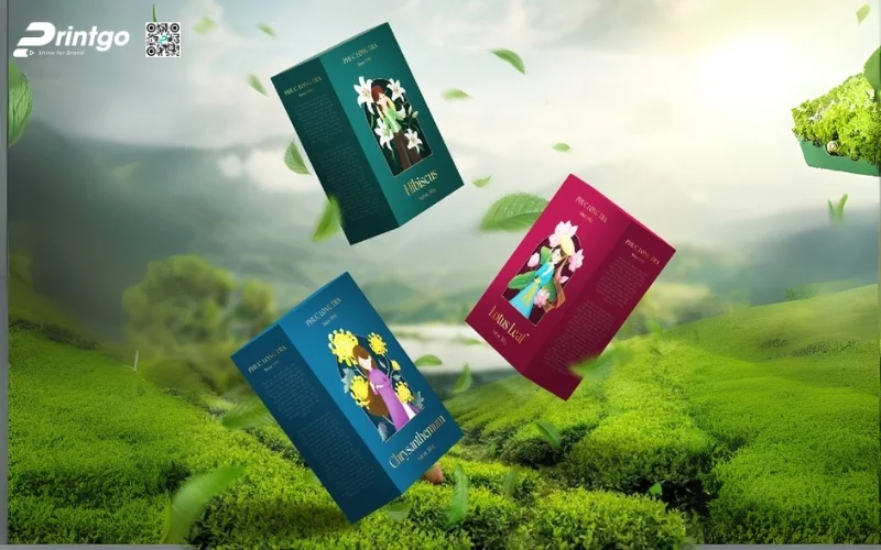 Mẫu bao bì trà xanh xuất khẩu dạng hộp carton mềm Mẫu bao bì trà xanh xuất khẩu dạng hộp carton mềm