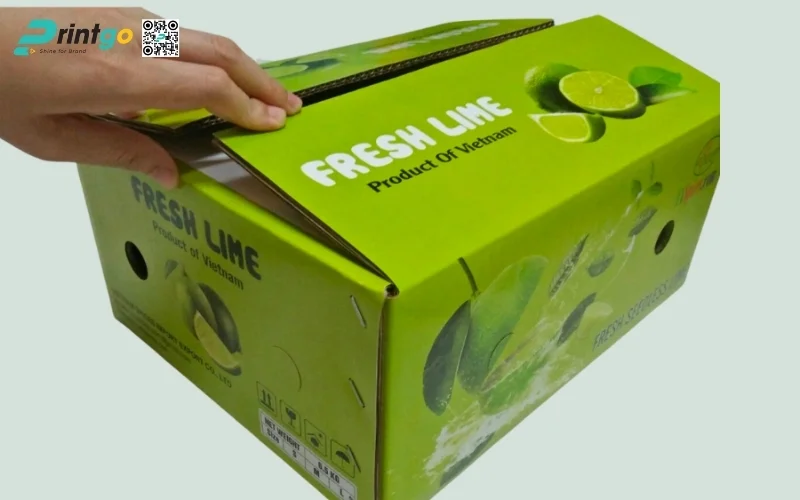Mẫu bao bì xuất khẩu trái cây chanh Mẫu bao bì xuất khẩu trái cây chanh