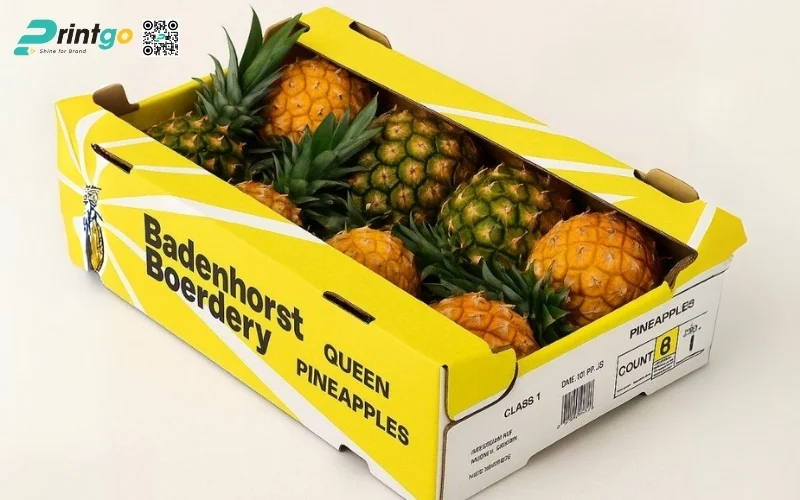 Mẫu thùng carton đóng hàng xuất khẩu hoa quả Mẫu thùng carton đóng hàng xuất khẩu hoa quả