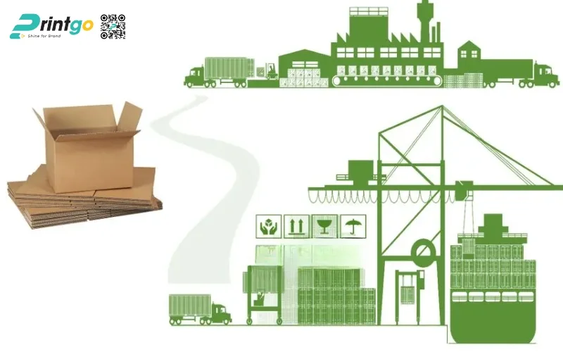 Tầm quan trọng của bao bì xuất khẩu trái cây đối với nông sản Việt Tầm quan trọng của bao bì xuất khẩu trái cây đối với nông sản Việt