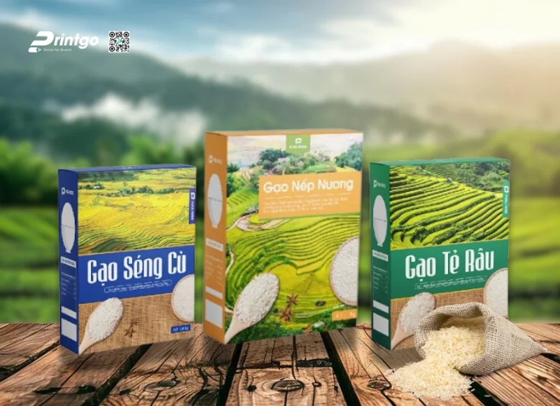 Tổng hợp các mẫu thiết kế bao bì gạo đẹp, sáng tạo nhất năm 2025