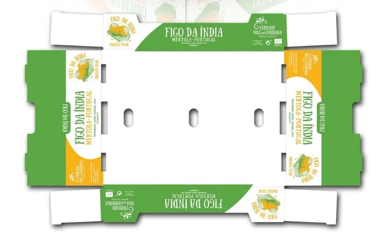 Một số mẫu form thùng carton xuất khẩu nổi bật nhất 2025 Một số mẫu form thùng carton xuất khẩu nổi bật nhất 2025