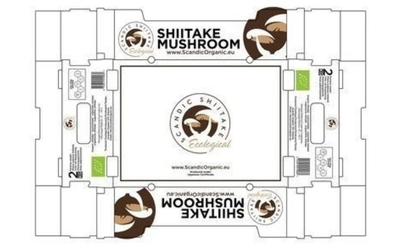 Một số mẫu form thùng carton xuất khẩu nổi bật nhất 2025 Một số mẫu form thùng carton xuất khẩu nổi bật nhất 2025