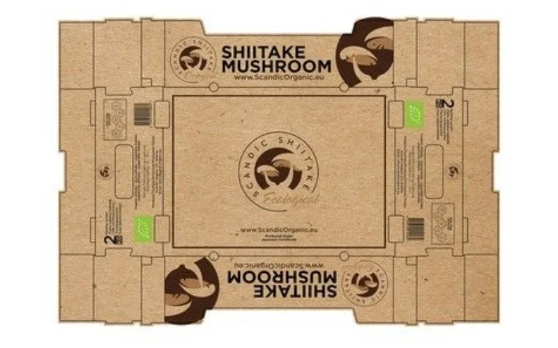 Một số mẫu form thùng carton xuất khẩu nổi bật nhất 2025 Một số mẫu form thùng carton xuất khẩu nổi bật nhất 2025