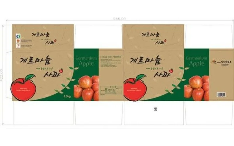Một số mẫu form thùng carton xuất khẩu nổi bật nhất 2025 Một số mẫu form thùng carton xuất khẩu nổi bật nhất 2025