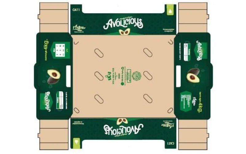 Một số mẫu form thùng carton xuất khẩu nổi bật nhất 2025 Một số mẫu form thùng carton xuất khẩu nổi bật nhất 2025