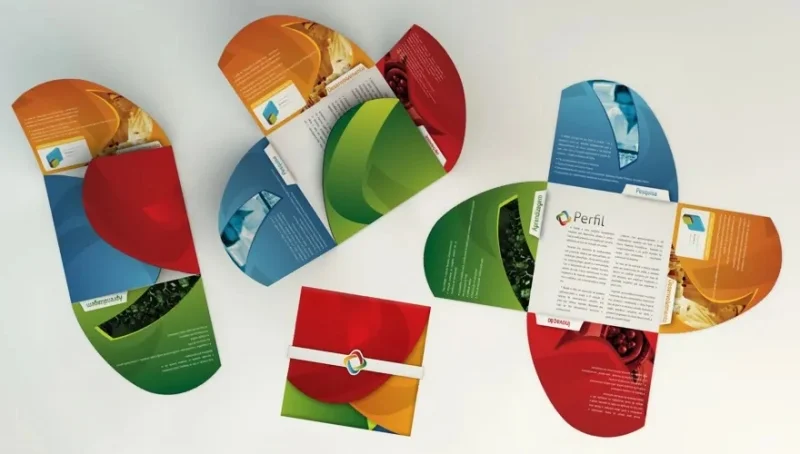 Brochure gấp sáng tạo với đường cắt tinh tế, độc đáo