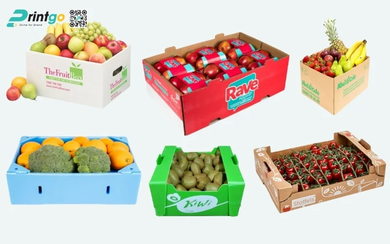 Mẫu thùng carton đóng hàng xuất khẩu hoa quả Mẫu thùng carton đóng hàng xuất khẩu hoa quả