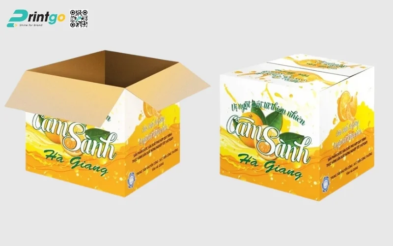Mẫu thùng carton đóng hàng xuất khẩu nông sản chế biến Mẫu thùng carton đóng hàng xuất khẩu nông sản chế biến