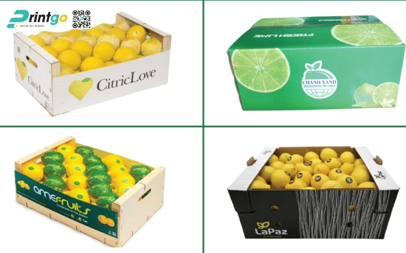 Mẫu thùng carton đóng hàng xuất khẩu hoa quả Mẫu thùng carton đóng hàng xuất khẩu hoa quả
