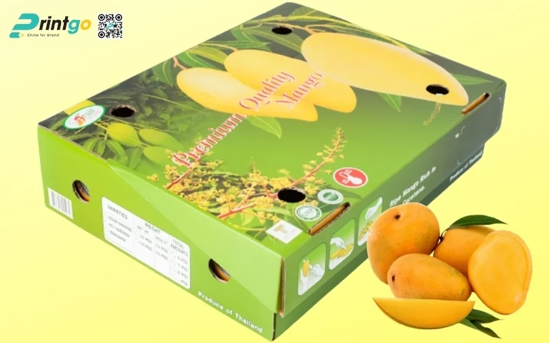 Mẫu thùng carton đóng hàng xuất khẩu hoa quả Mẫu thùng carton đóng hàng xuất khẩu hoa quả