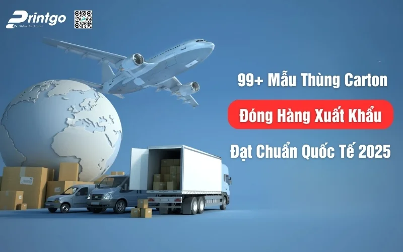 6 Bước Chọn Thùng Carton Đóng Hàng Xuất Khẩu Đạt Chuẩn Cho HTX