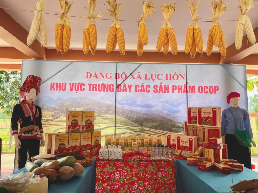 Hộp đựng miến dong Bình Liêu được trưng bày tại khu trưng bày sản phẩm OCOP