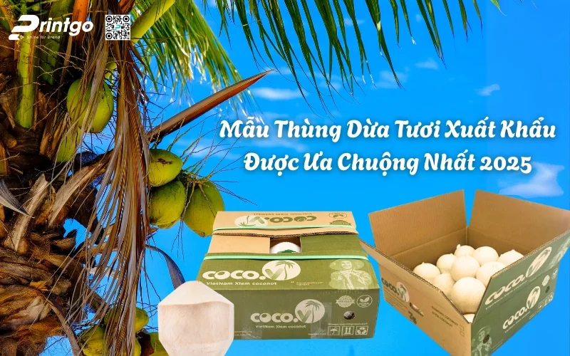 Top 79+ Thùng Dừa Tươi Xuất Khẩu Chất Lượng Chuẩn Quốc Tế