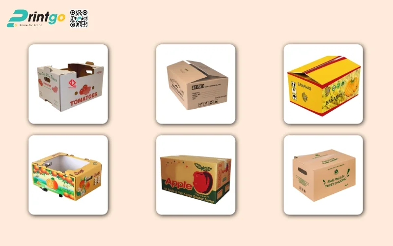Vì sao bao bì xuất khẩu trái cây quyết định thành bại trong hành trình xuất khẩu nông sản? Vì sao bao bì xuất khẩu trái cây quyết định thành bại trong hành trình xuất khẩu nông sản?