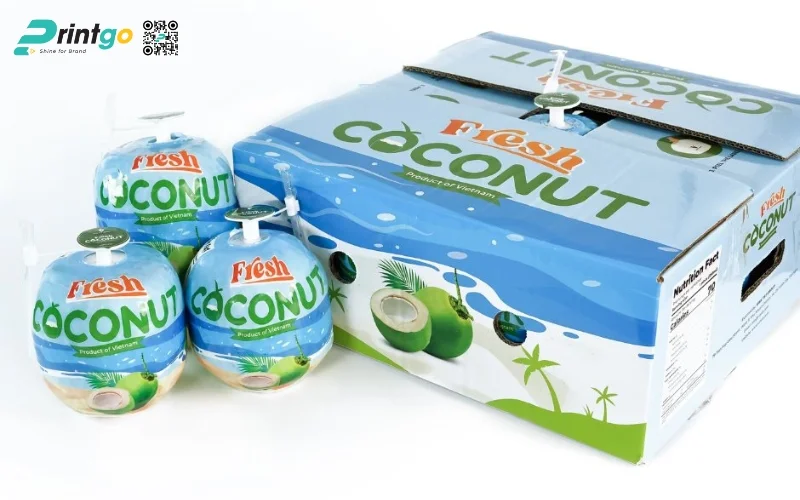 Lựa chọn thùng dừa tươi xuất khẩu dựa trên yếu tố nào?