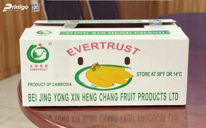 Tổng hợp 100+ mẫu thùng chuối xuất khẩu chuẩn quốc tế 2025