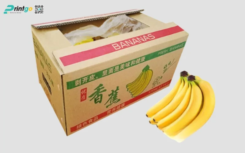 Tổng hợp 100+ mẫu thùng chuối xuất khẩu chuẩn quốc tế 2025
