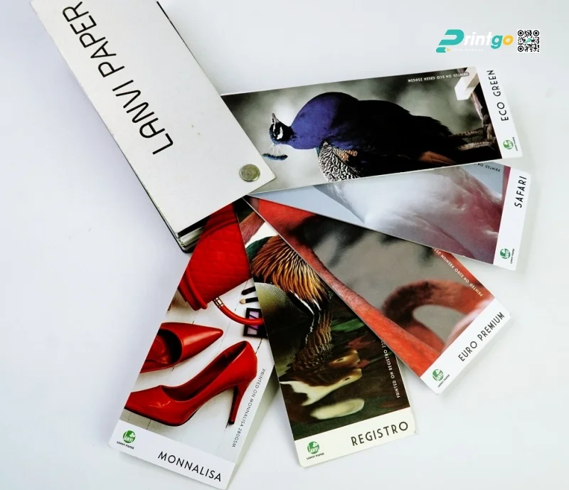 Lanvi Paper là một đơn vị cung cấp giấy mỹ thuật rất lớn