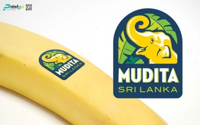 Kỹ thuật in tem chuối xuất khẩu