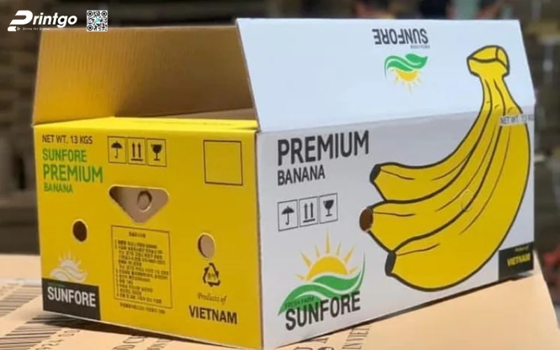 Thiết kế kỹ thuật & đặc điểm bắt buộc của thùng chuối xuát khẩu