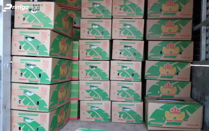 Tổng hợp 100+ mẫu thùng chuối xuất khẩu chuẩn quốc tế 2025