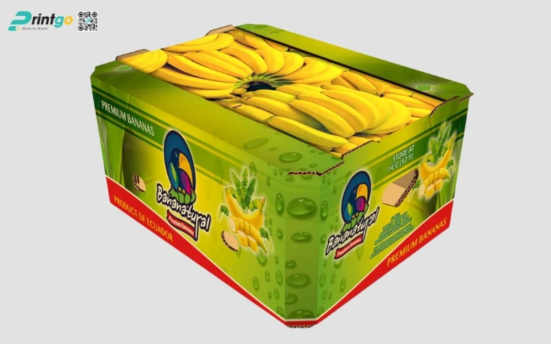 Tổng hợp 100+ mẫu thùng chuối xuất khẩu chuẩn quốc tế 2025