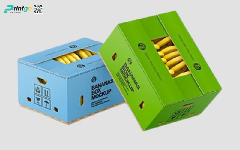 Tổng hợp 100+ mẫu thùng chuối xuất khẩu chuẩn quốc tế 2025