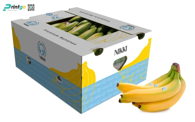 Tổng hợp 100+ mẫu thùng chuối xuất khẩu chuẩn quốc tế 2025