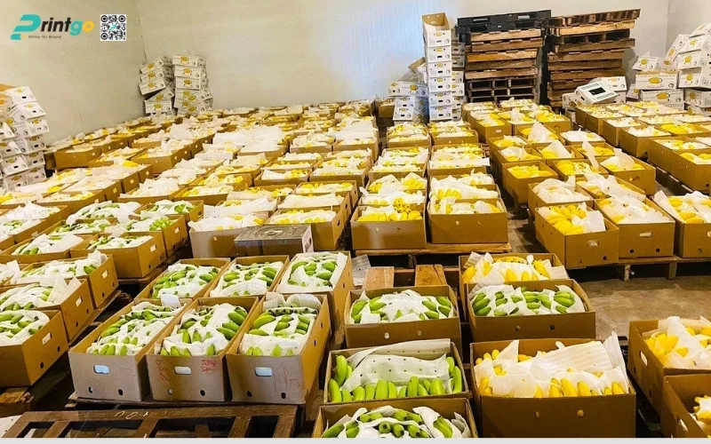 Quy trình đóng gói chuối xuất khẩu đạt chuẩn