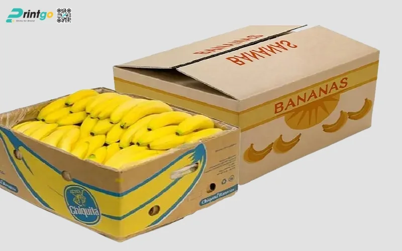 Tổng hợp 100+ mẫu thùng chuối xuất khẩu chuẩn quốc tế 2025