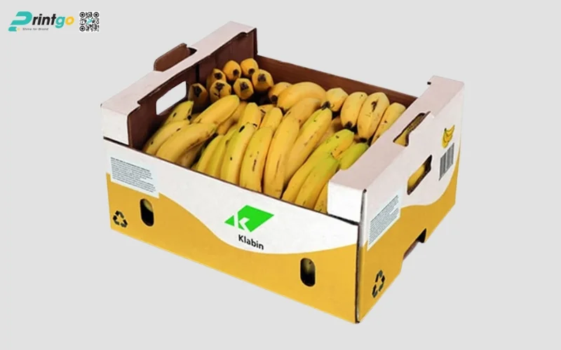 Tổng hợp 100+ mẫu thùng chuối xuất khẩu chuẩn quốc tế 2025