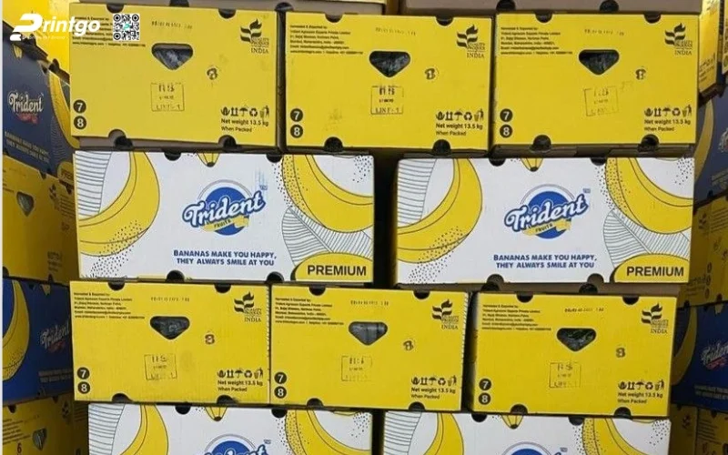 Tổng hợp 100+ mẫu thùng chuối xuất khẩu chuẩn quốc tế 2025