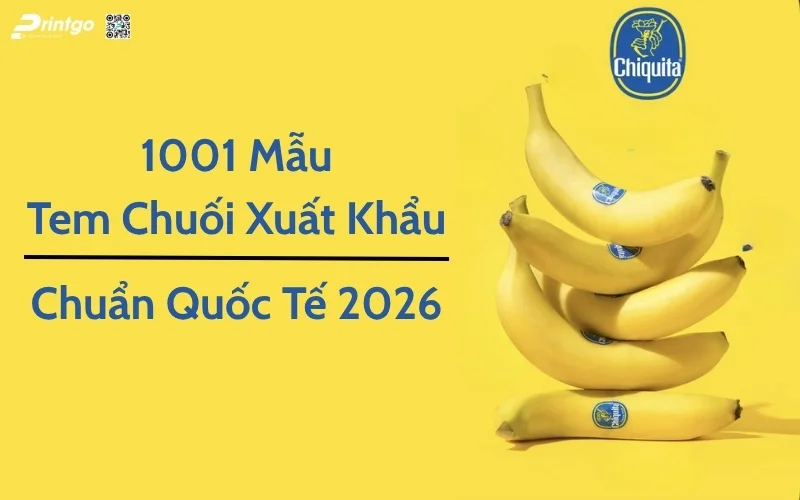 Top 1001 Thiết Kế Tem Chuối Xuất Khẩu Giúp Nâng Tầm Thương Hiệu Nông Sản