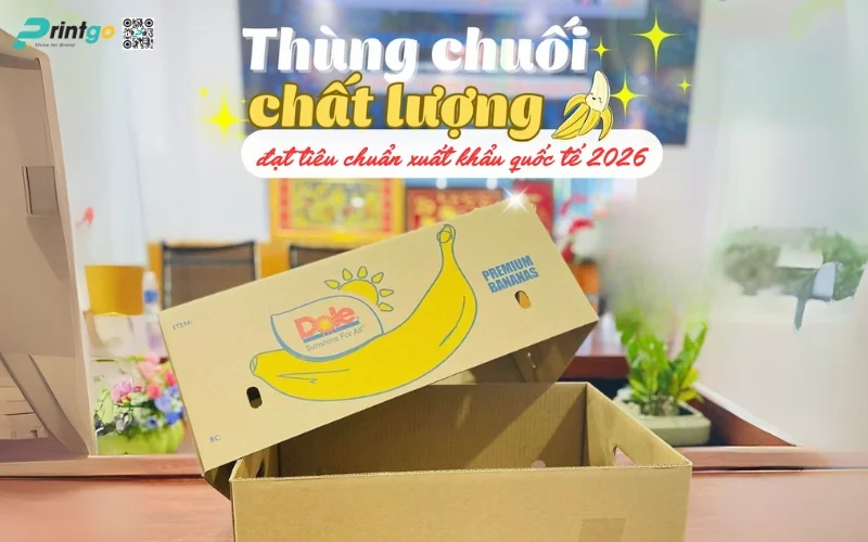 Cập Nhật 2025: Tiêu Chuẩn Thùng Chuối Xuất Khẩu Đạt Chuẩn Quốc Tế
