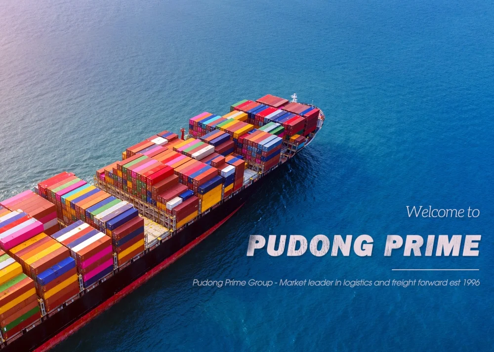 Bối cảnh dự án: khát vọng vươn xa của "người vận chuyển" quốc tế