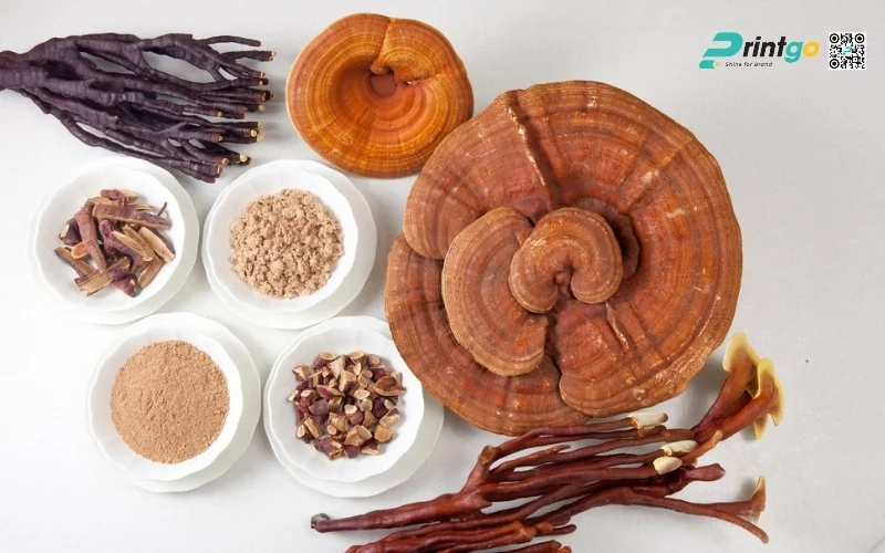 Các loại nấm linh chi cao cấp trong hộp quà tết nấm linh chi