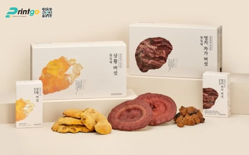 Mẫu hộp quà Tết nấm linh chi cao cấp và sang trọng nhất 2026