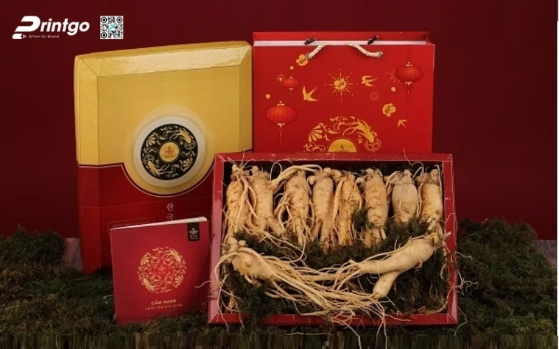 Mẫu hộp quà tết nhân sâm nguyên củ