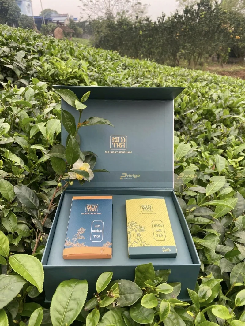 Set quà Tết trà dưới 200K