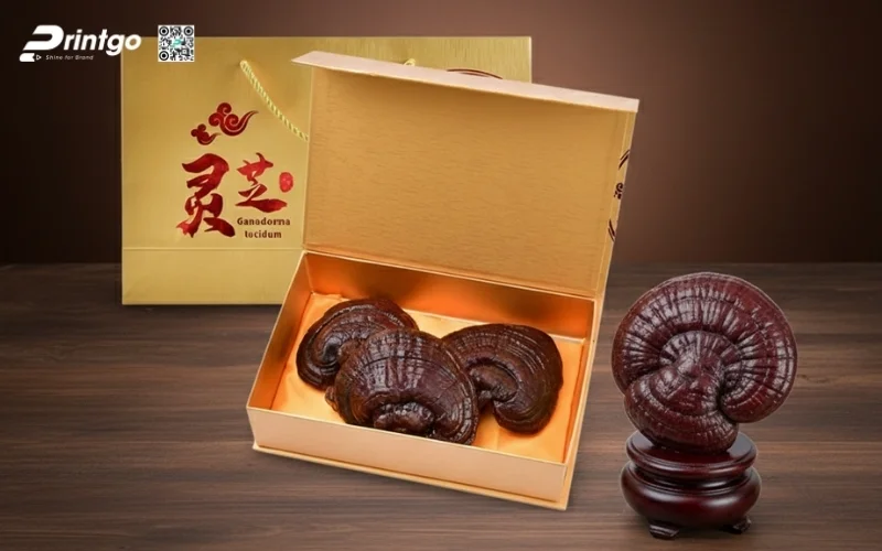 Mẫu hộp quà Tết nấm linh chi cao cấp và sang trọng nhất 2026