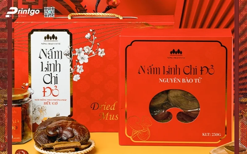 Mẫu hộp quà Tết nấm linh chi cao cấp và sang trọng nhất 2026