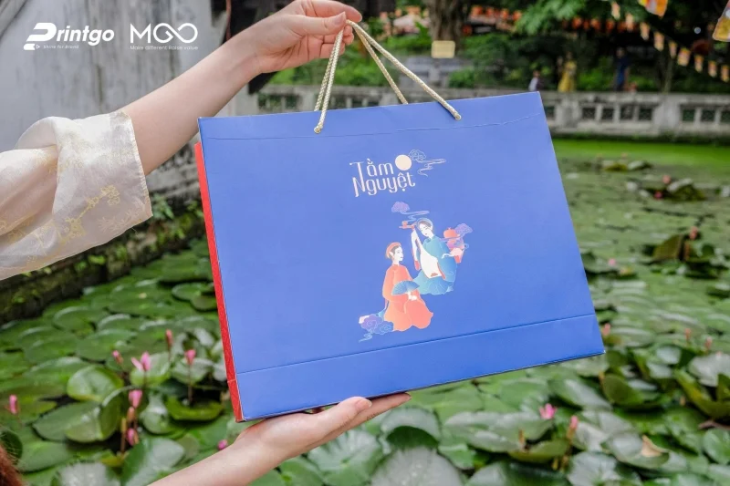 Tổng hợp các mẫu túi giấy đựng quà Tết ấn tượng