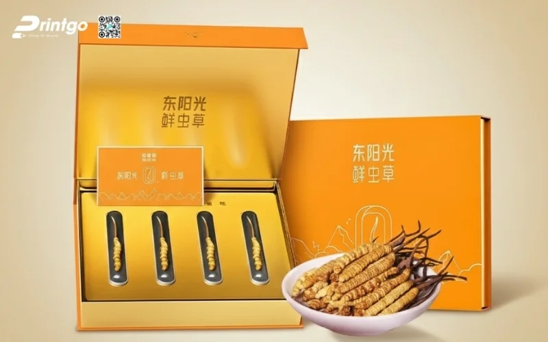 Các set quà tết đông trùng hạ thảo đẳng cấp nhất 2026 