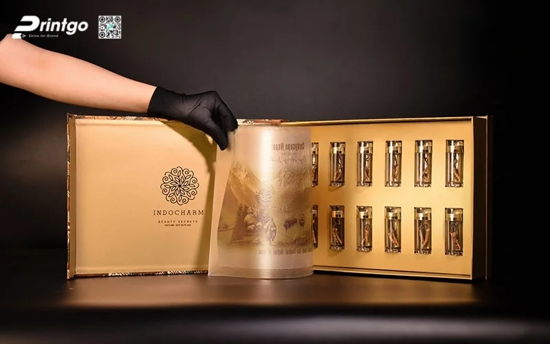Các set quà tết đông trùng hạ thảo đẳng cấp nhất 2026 