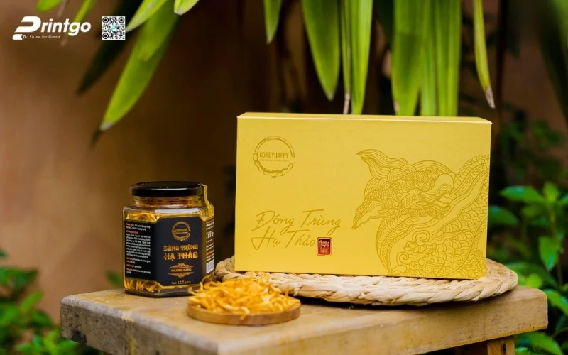 Các set quà tết đông trùng hạ thảo đẳng cấp nhất 2026 